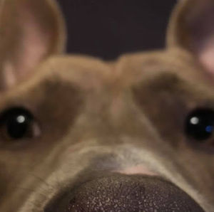 Meet your Posher, Lex